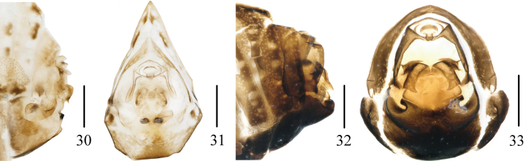 Figures 30–33
