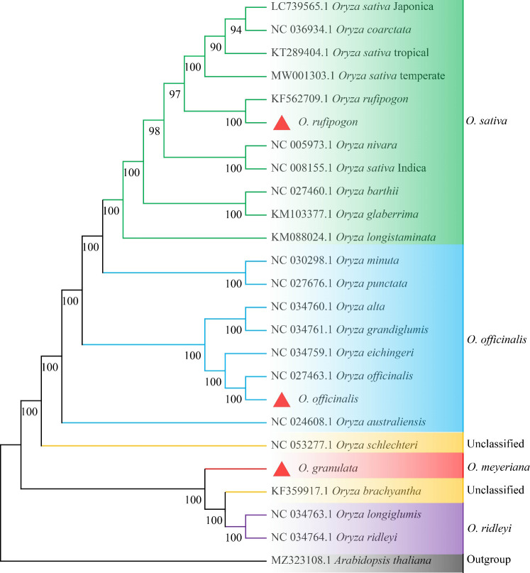 Figure 3
