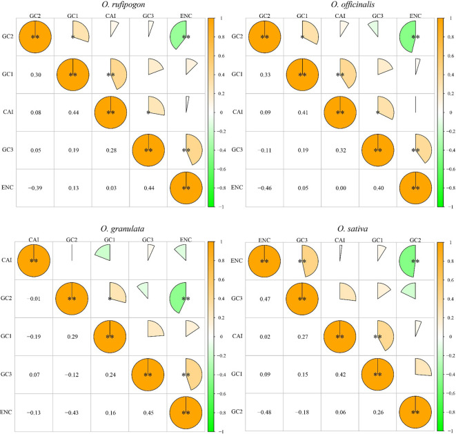 Figure 4