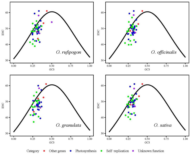 Figure 5