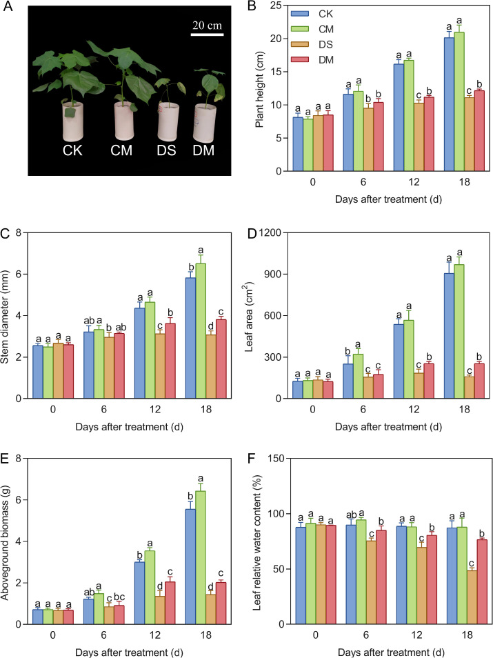 Figure 2