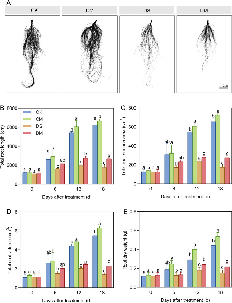 Figure 4
