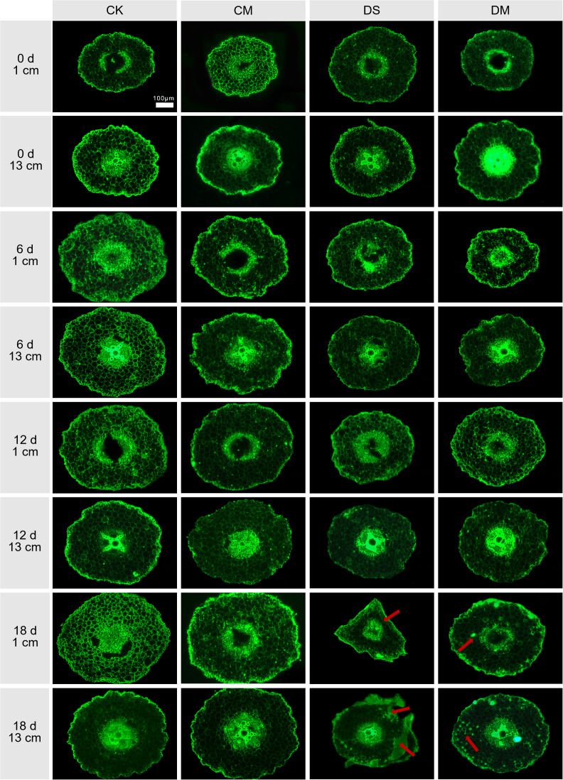 Figure 6