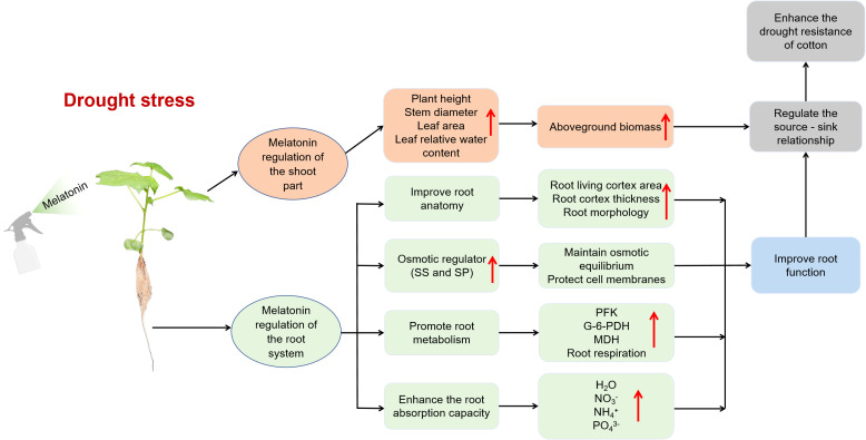 Figure 11