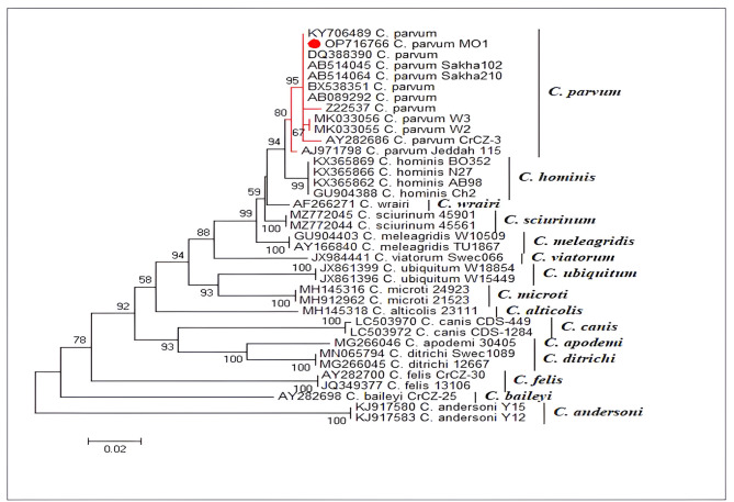 Figure 2