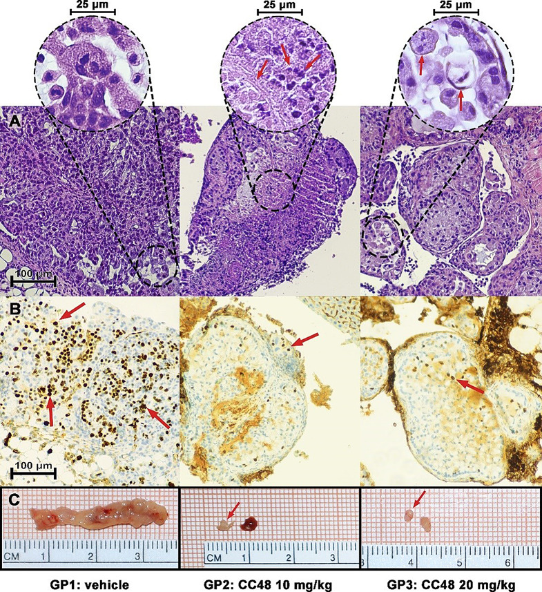 Figure 10