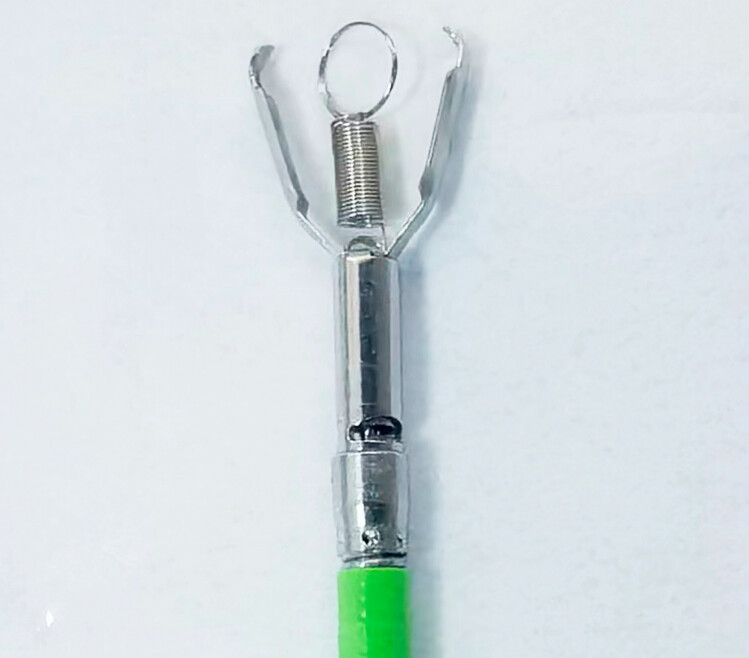 Fig. 1
