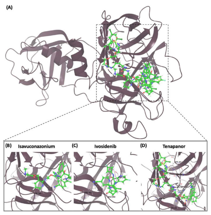 Figure 10