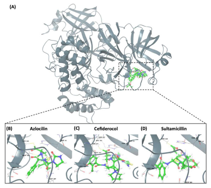 Figure 11