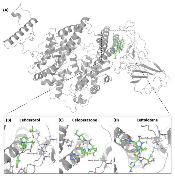 Figure 12