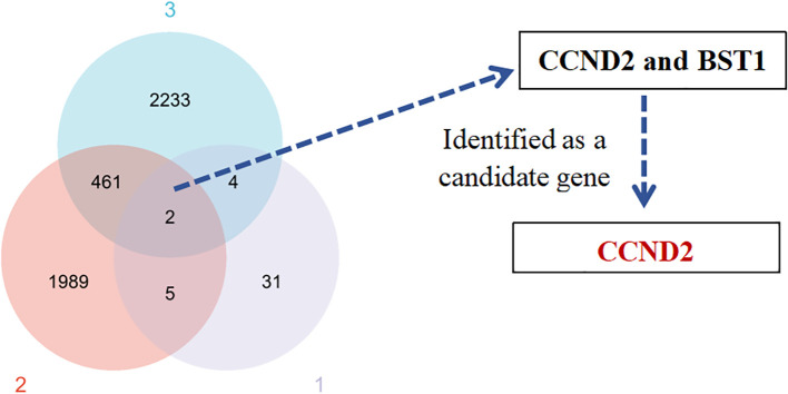 Figure 3