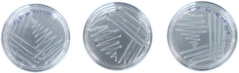 Figure 2