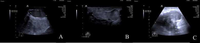 Figure 2