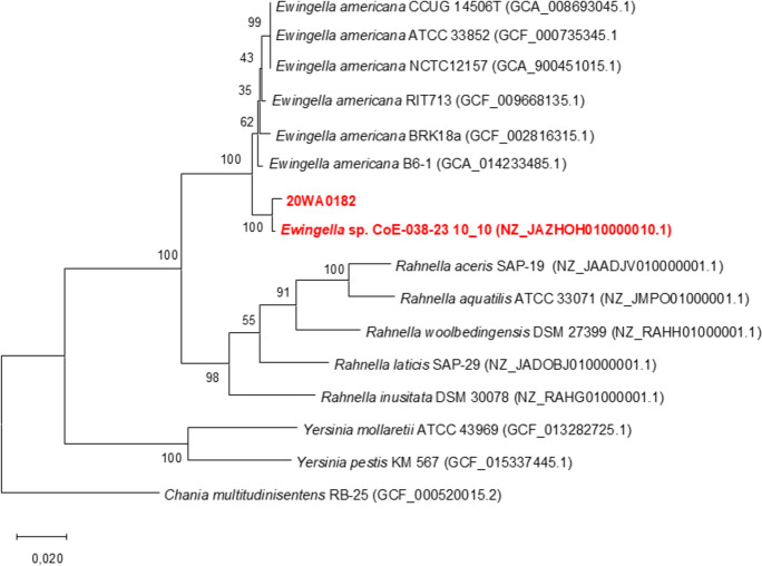 Figure 4