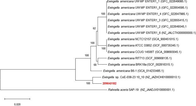 Figure 5