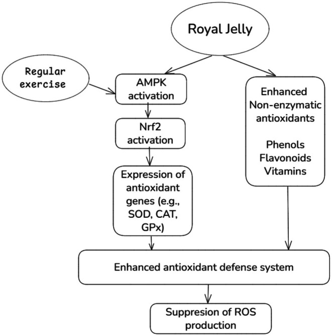 FIGURE 4