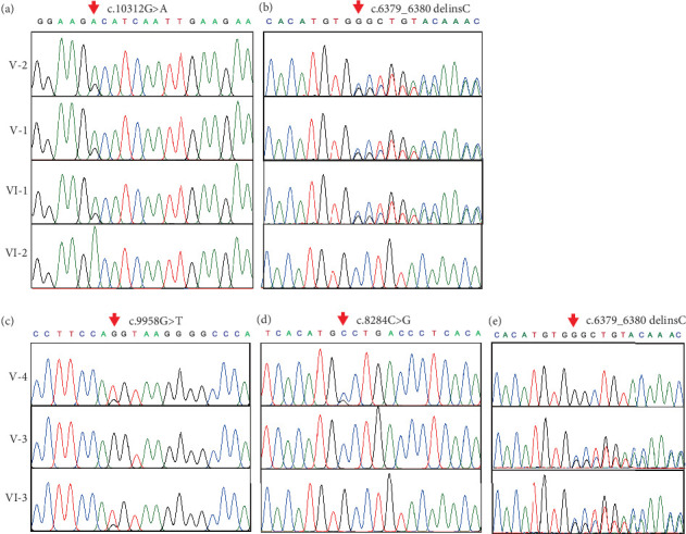 Figure 5