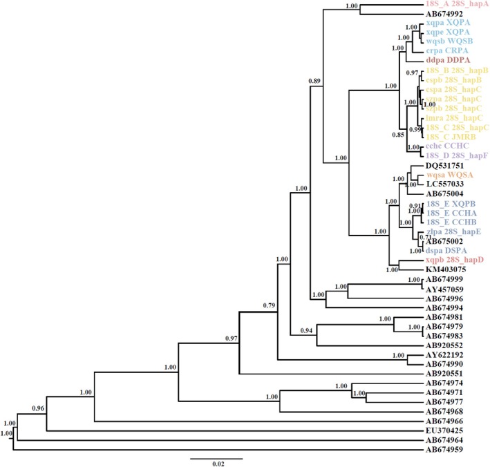 FIGURE 3