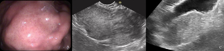 Figure 5
