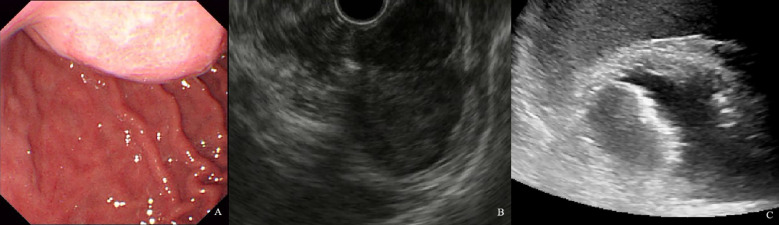 Figure 6
