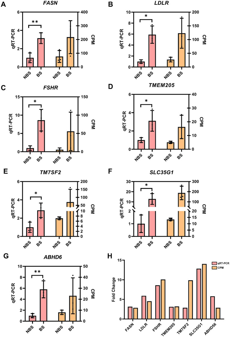 Figure 5