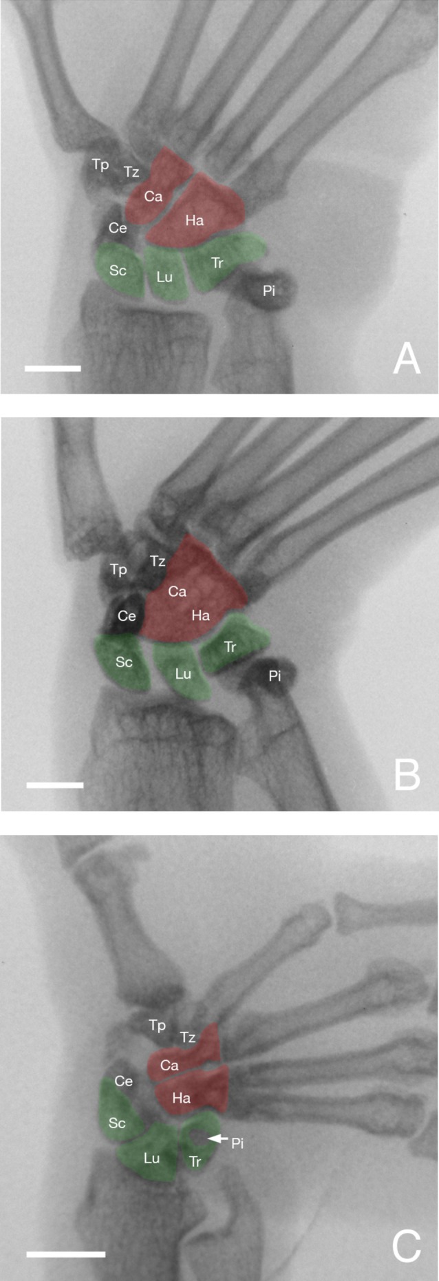 FIGURE 6