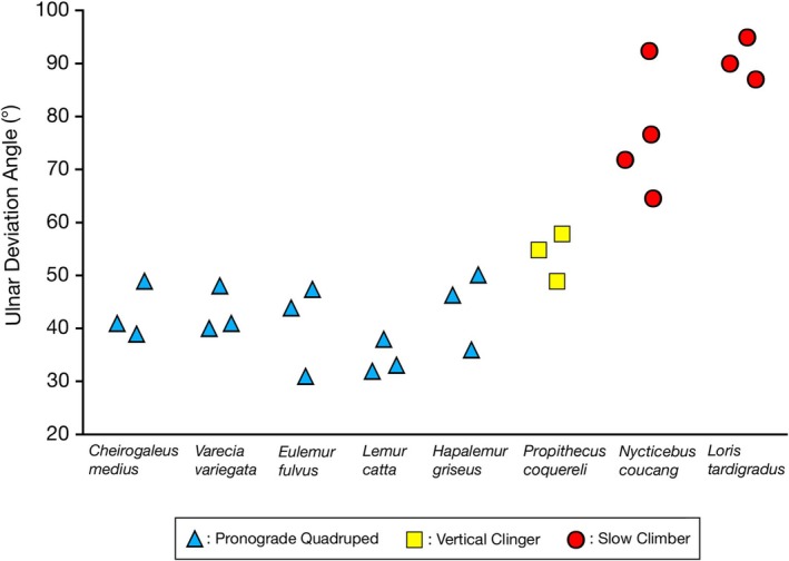 FIGURE 4