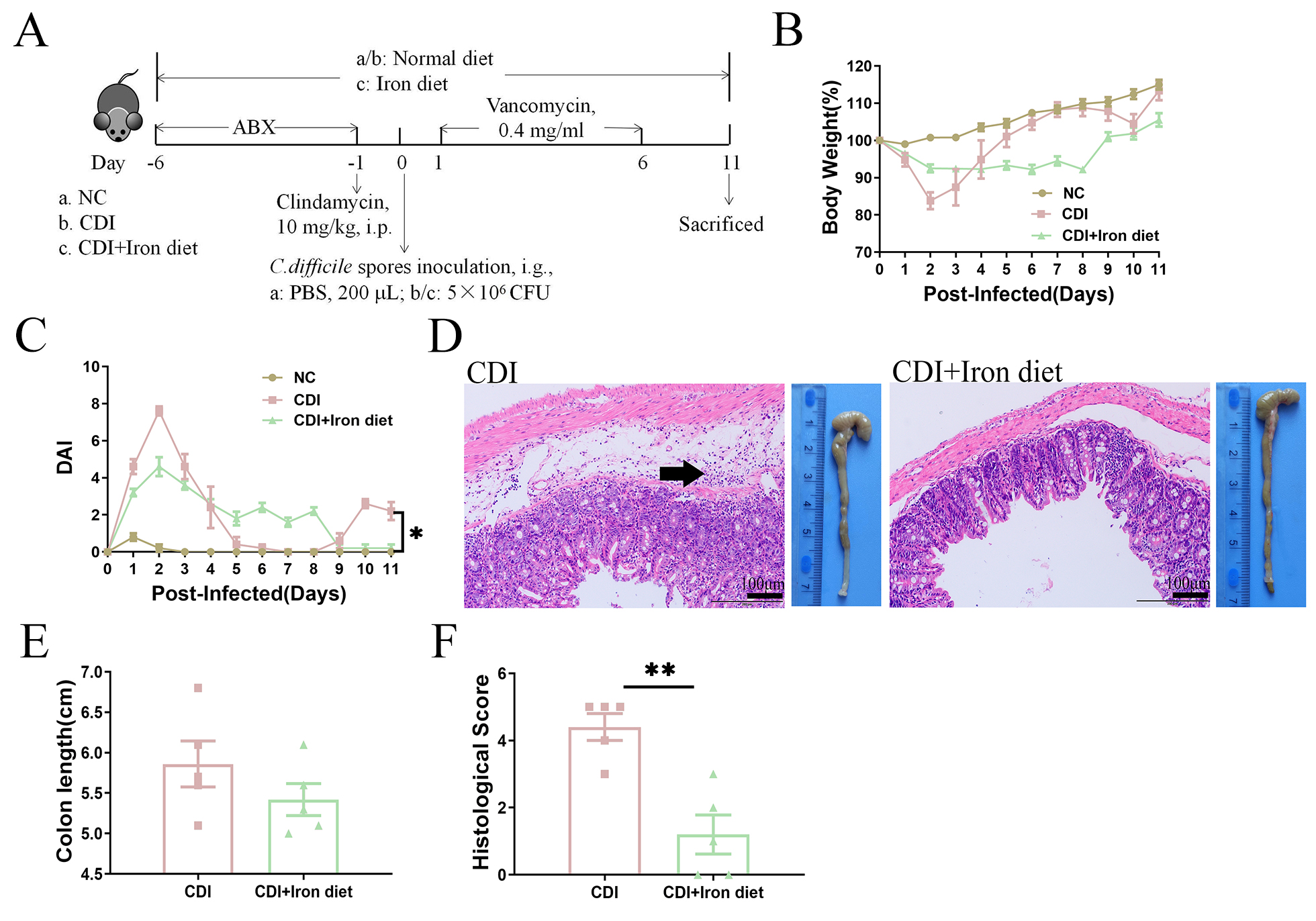 Figure 16