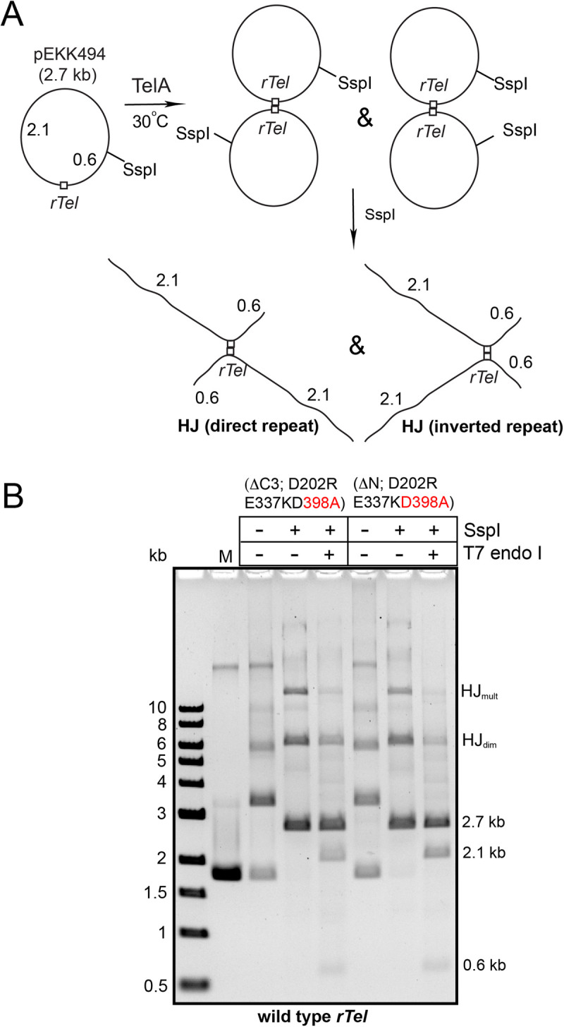 Fig 5