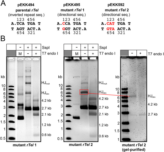 Fig 7