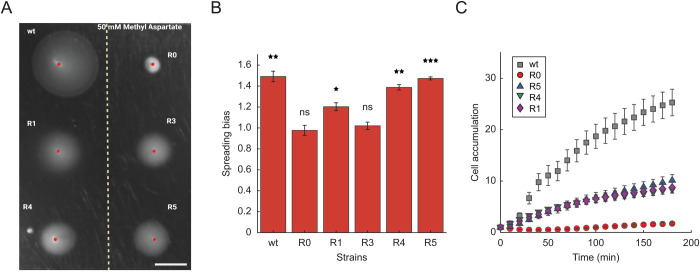 Fig 4