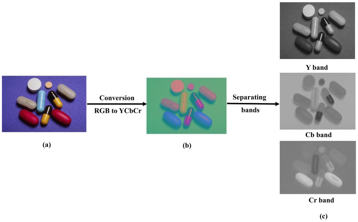 Fig 6