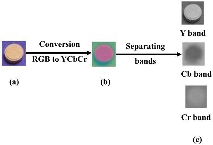 Fig 7