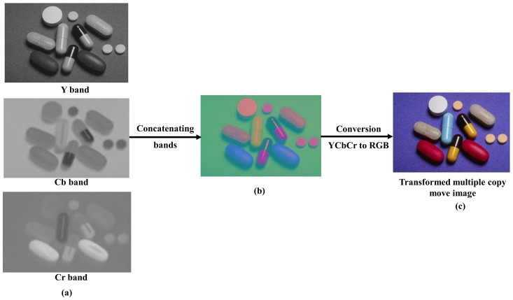 Fig 10