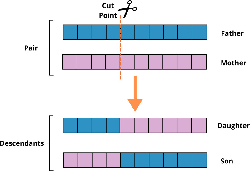 Fig 8