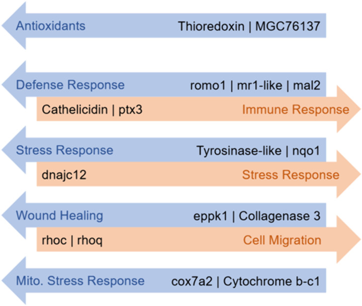 Fig 5