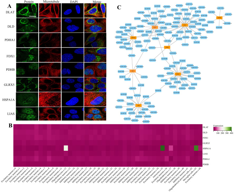 Fig 7
