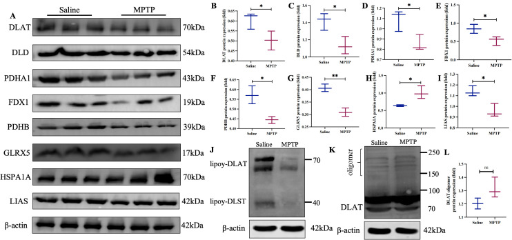 Fig 11