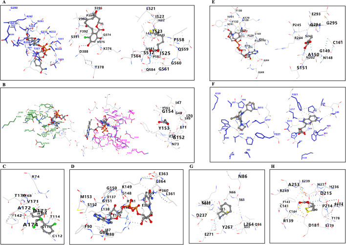 Fig 12
