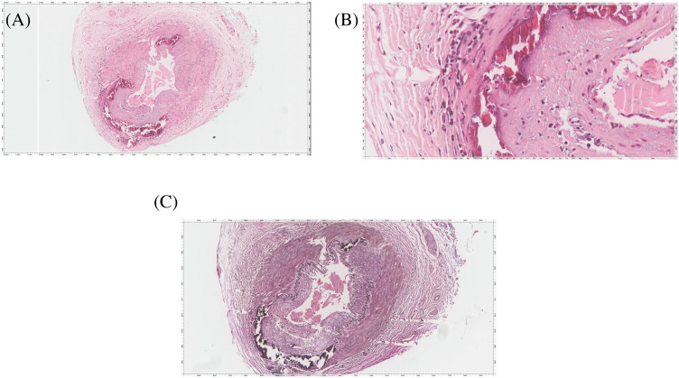 Figure 4