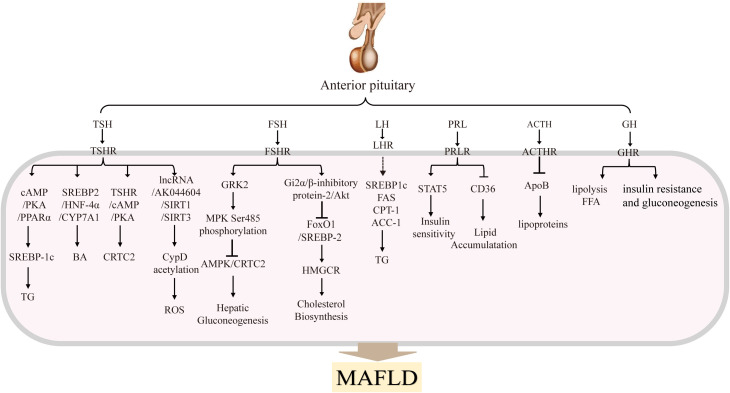 Figure 2
