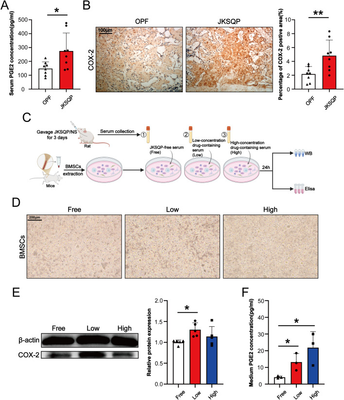 Figure 5