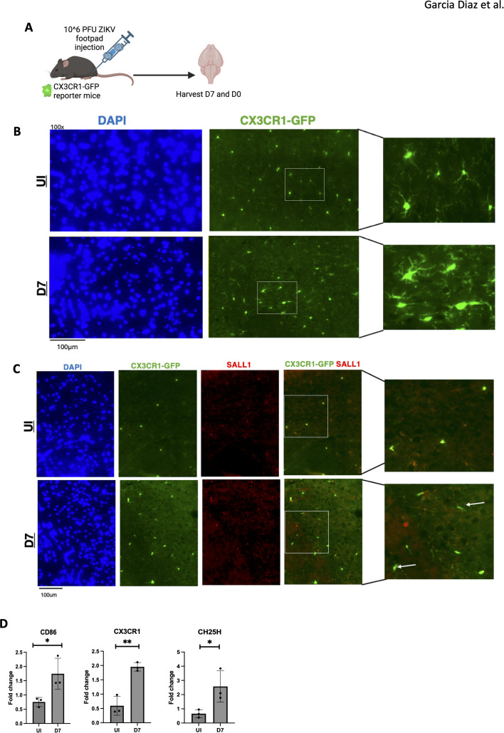Figure 4