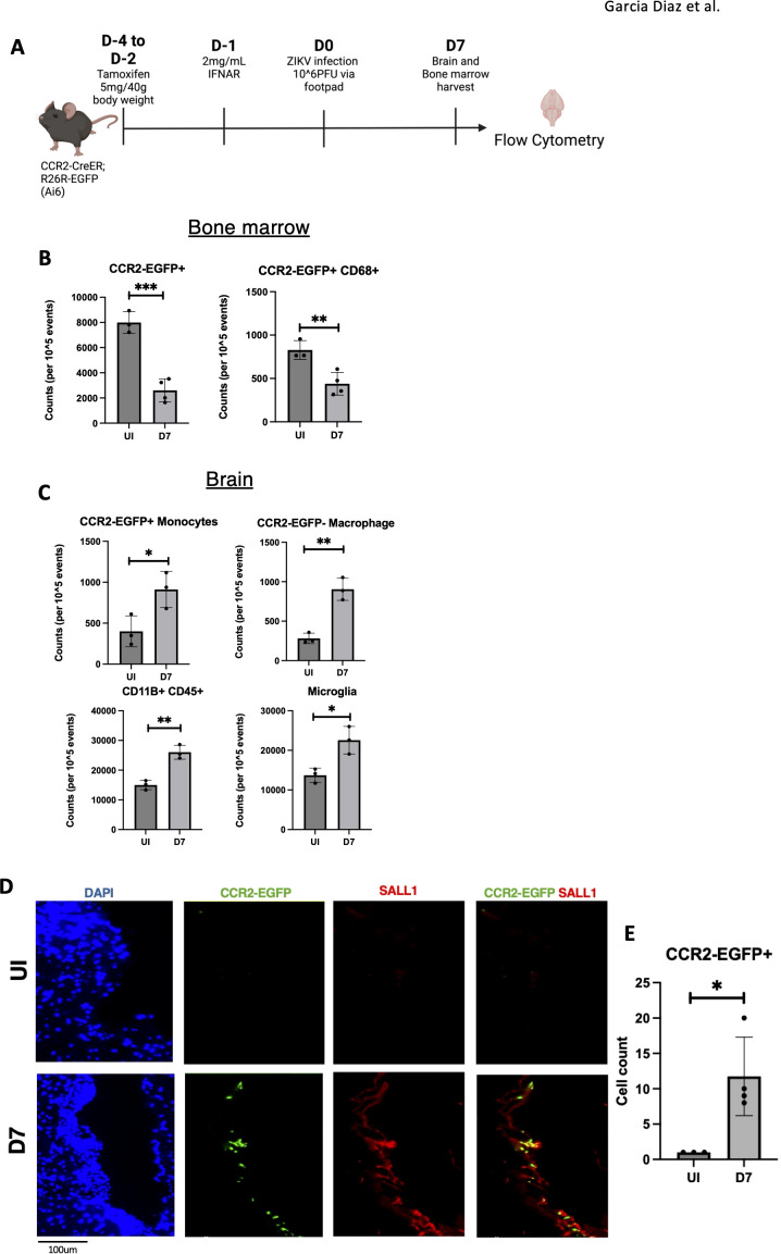 Figure 6