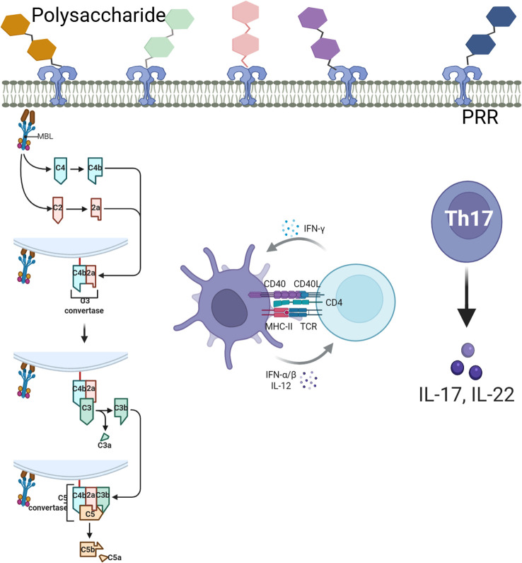 Figure 6