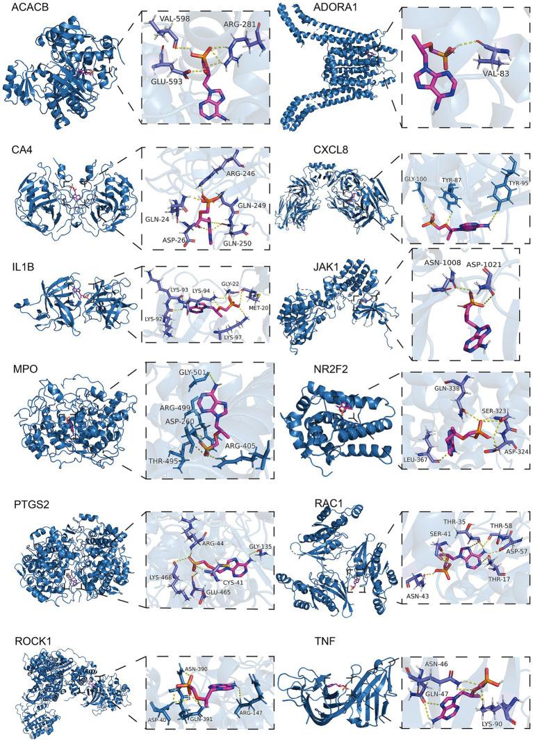Figure 6