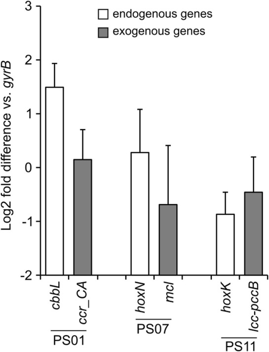 FIGURE 4
