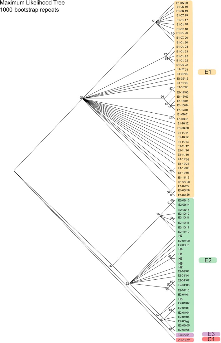 FIGURE 5