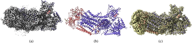 Figure 5