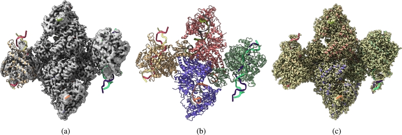 Figure 7